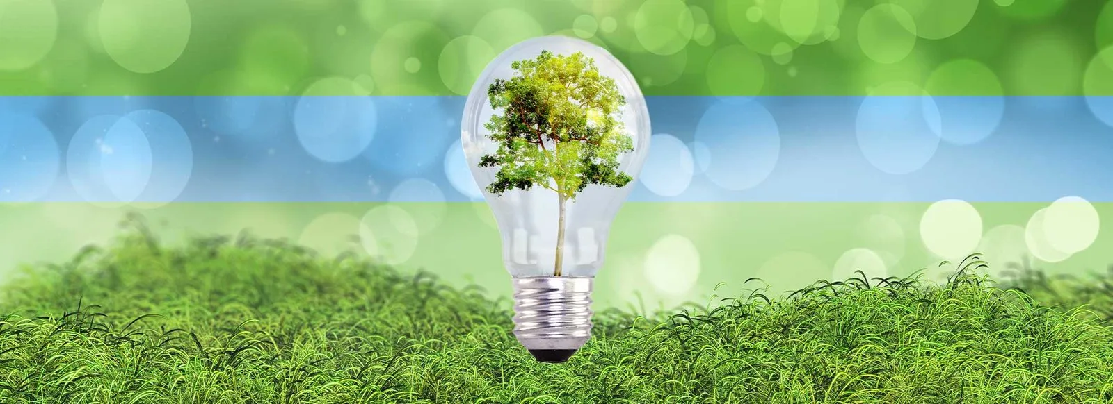 a_visualization_the_bulb_having_tree_in_place_of_filament